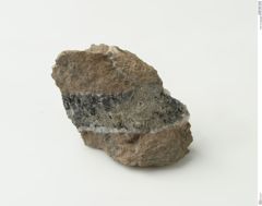 Foto von Nagyagit (NHMW-MIN-Ak636)